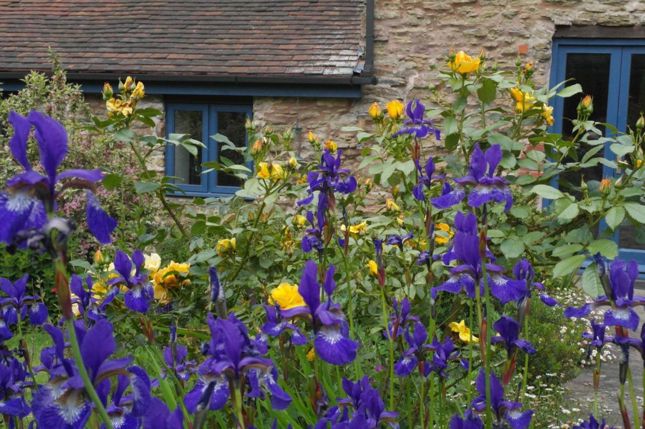 Bed and Breakfast Prospect Barn Hereford Esterno foto