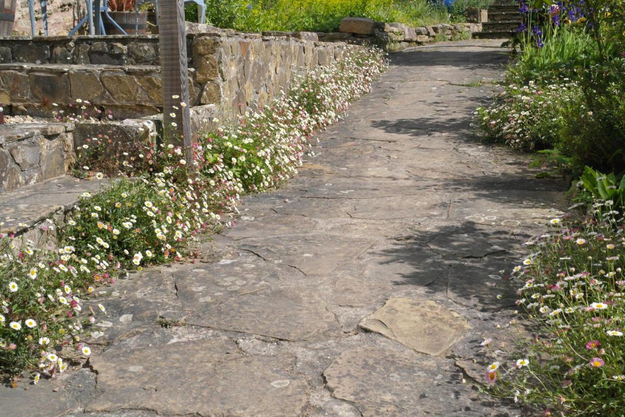Bed and Breakfast Prospect Barn Hereford Esterno foto